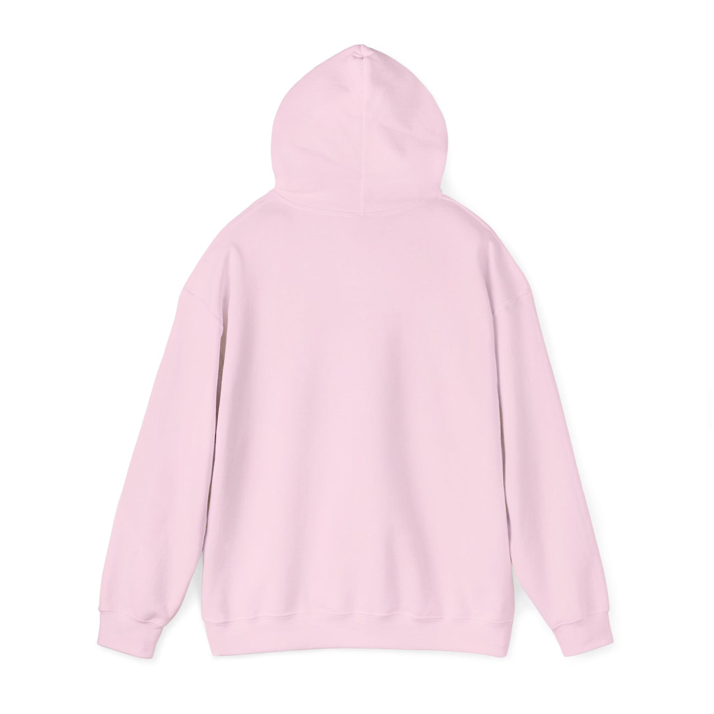 Whiplash Lake Retreat Hoodie — Vintage Cabin Lake Camp Pullover
