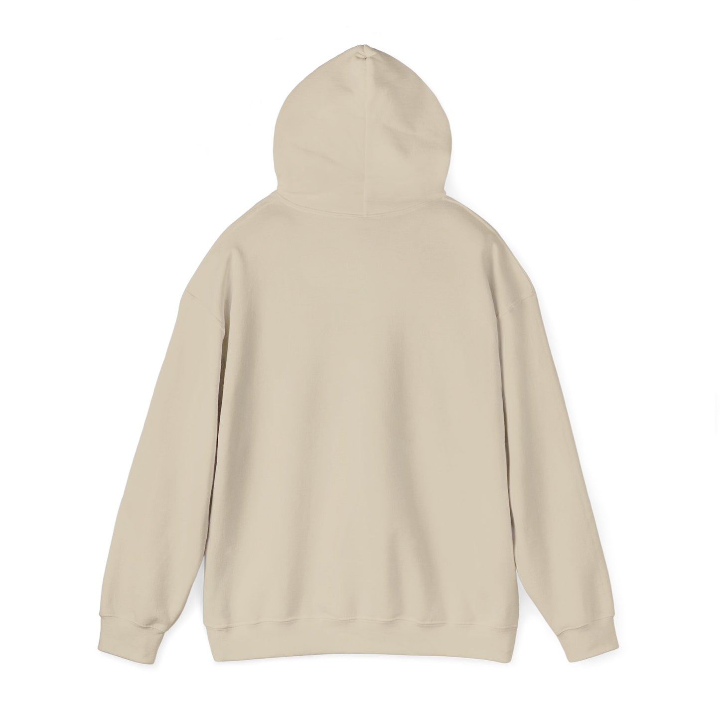 Whiplash Lake Retreat Hoodie — Vintage Cabin Lake Camp Pullover