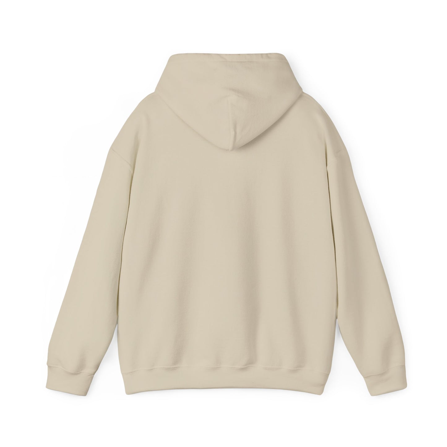 Whiplash Lake Retreat Hoodie — Vintage Cabin Lake Camp Pullover