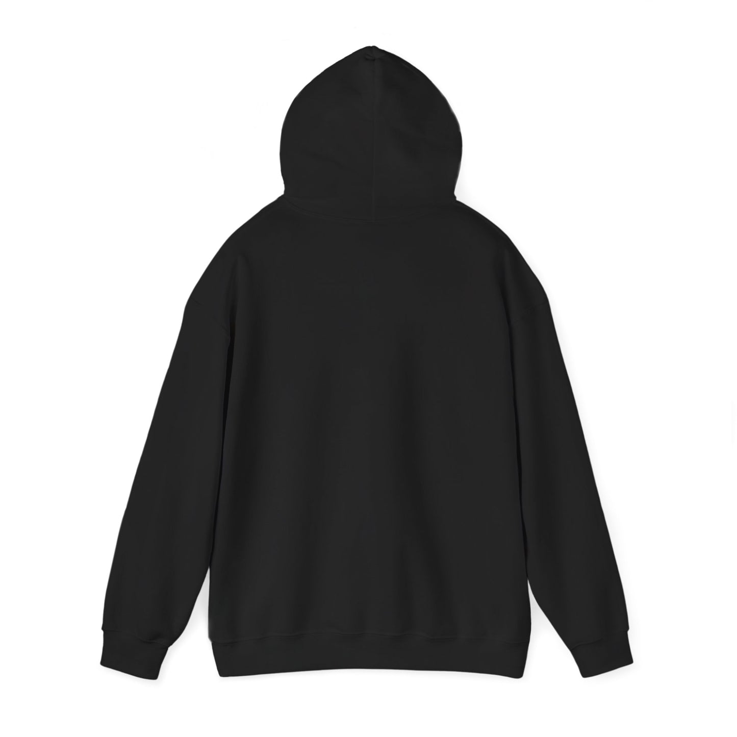 Whiplash Lake Retreat Hoodie — Vintage Cabin Lake Camp Pullover
