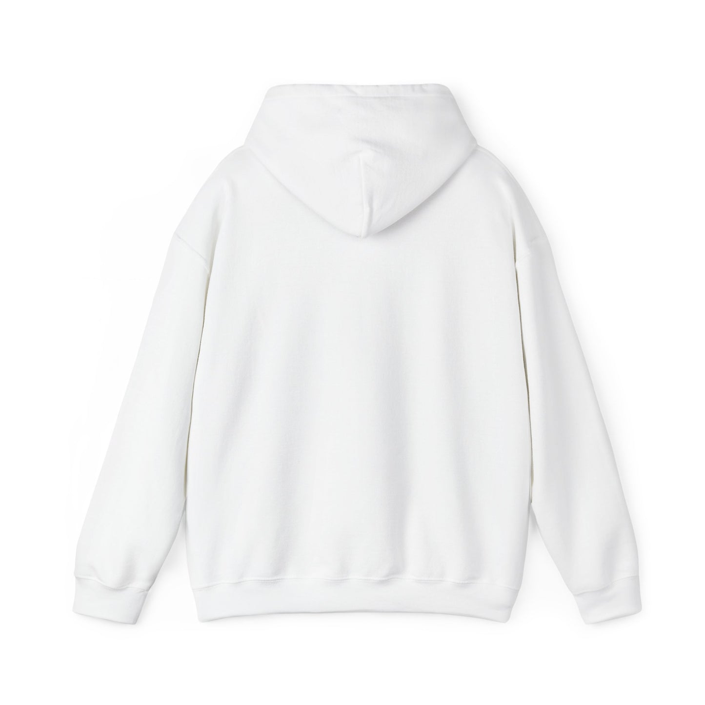 Whiplash Lake Retreat Hoodie — Vintage Cabin Lake Camp Pullover