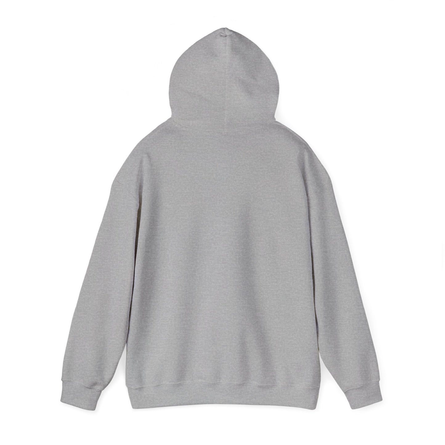 Whiplash Lake Retreat Hoodie — Vintage Cabin Lake Camp Pullover